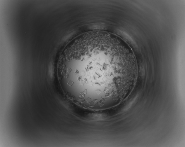 X0000100490255200806131256