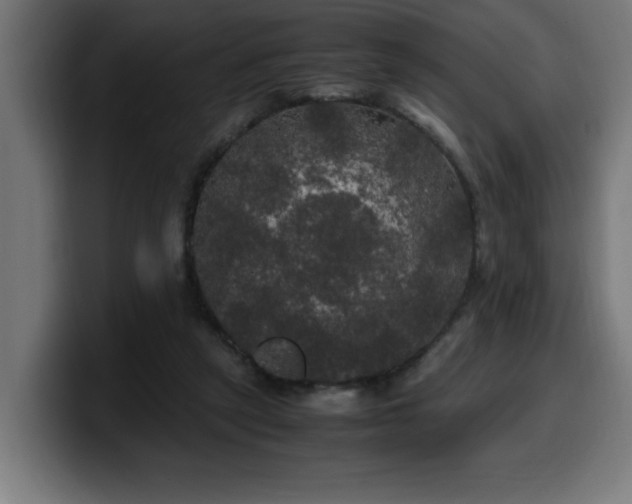 X0000100490257200806131256