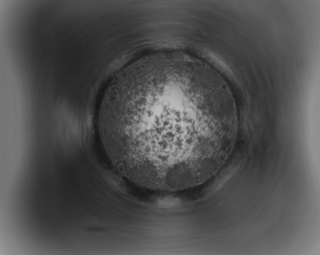 X0000100490258200806131256