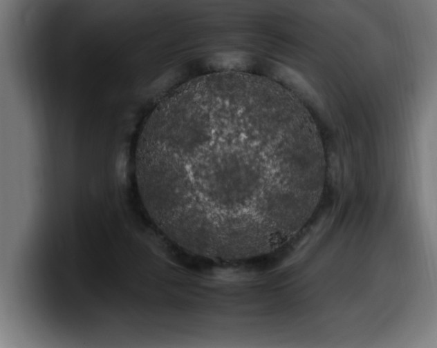 X0000100490259200806131256