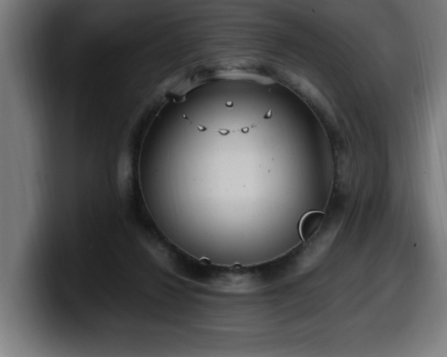 X0000100490260200806131256
