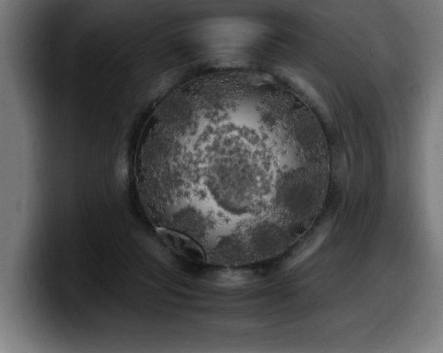 X0000100490261200806131256