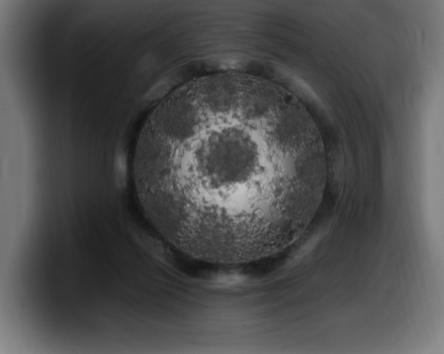 X0000100490262200806131256