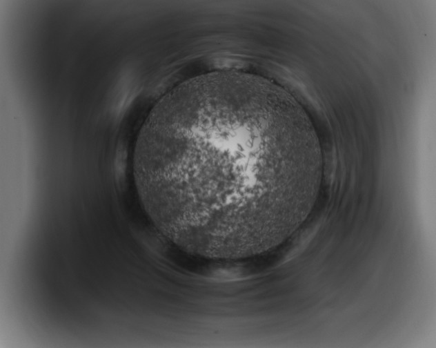 X0000100490263200806131256