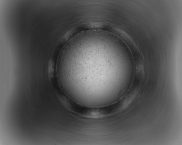 X0000100490264200806131256