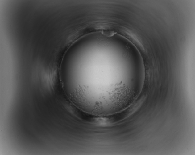 X0000100490265200806131256
