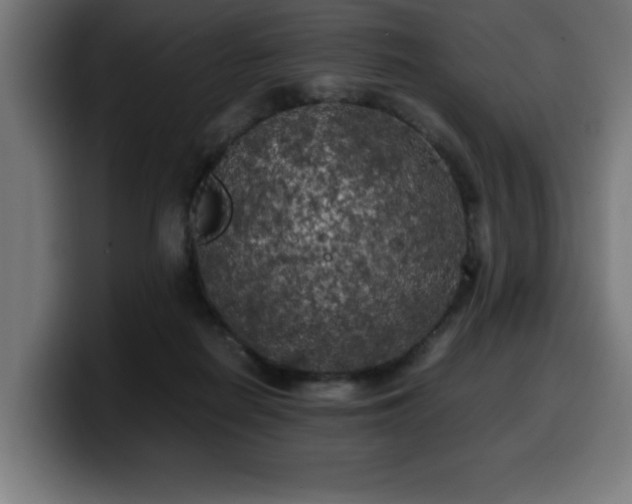 X0000100490266200806131256