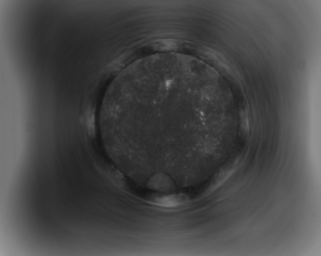 X0000100490267200806131256