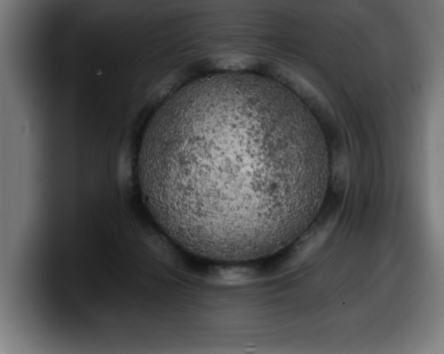 X0000100490268200806131256