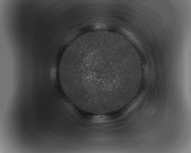 X0000100490269200806131256