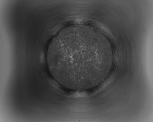 X0000100490270200806131256