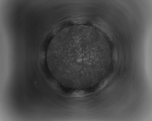 X0000100490271200806131256