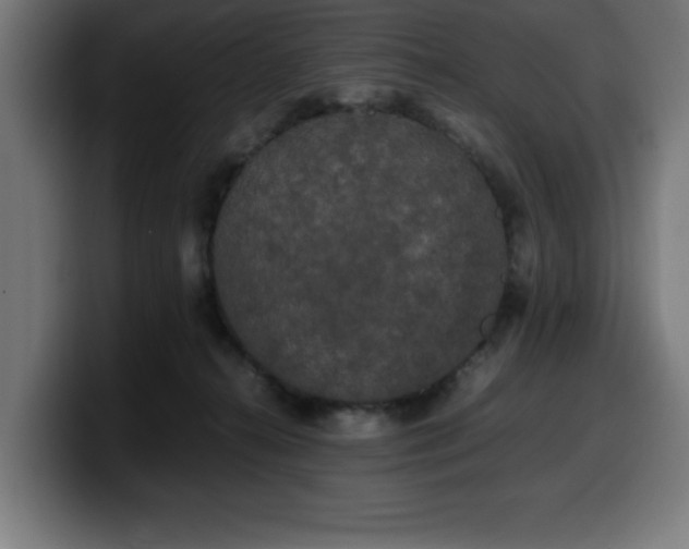 X0000100490272200806131256