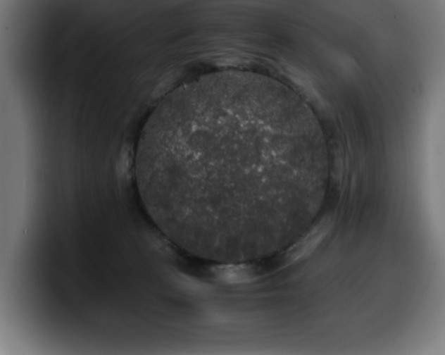 X0000100490273200806131256