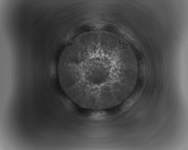 X0000100490274200806131256