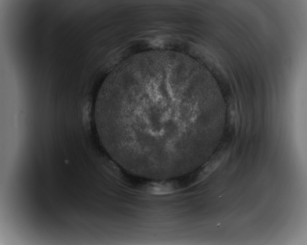 X0000100490275200806131256