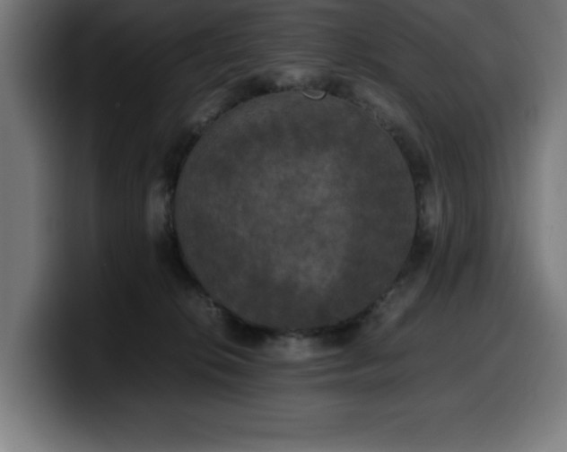 X0000100490276200806131256