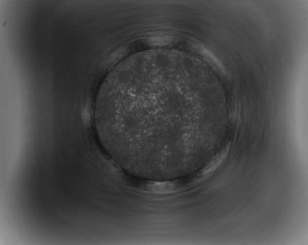 X0000100490277200806131256