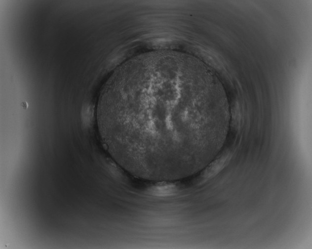 X0000100490278200806131256