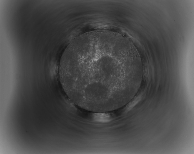 X0000100490281200806131256