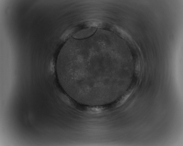 X0000100490282200806131256
