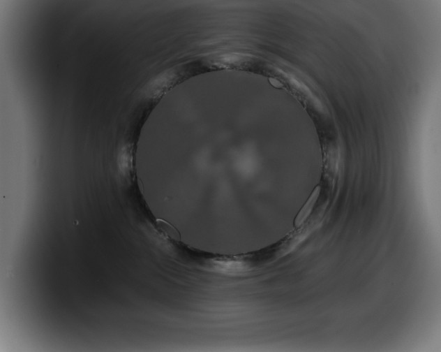 X0000100490284200806131256
