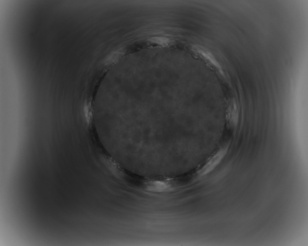 X0000100490285200806131256