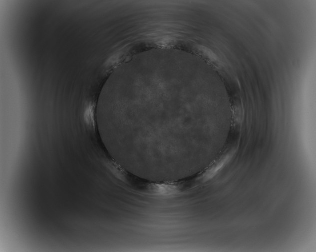 X0000100490286200806131256
