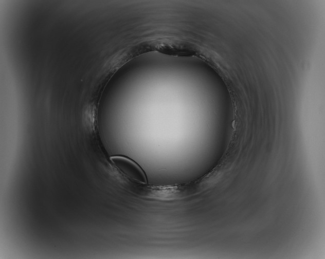 X0000100490288200806131256