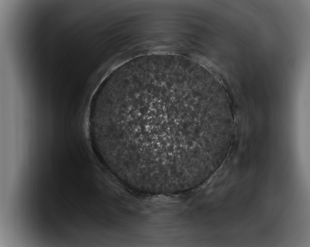 X0000100490290200806131255