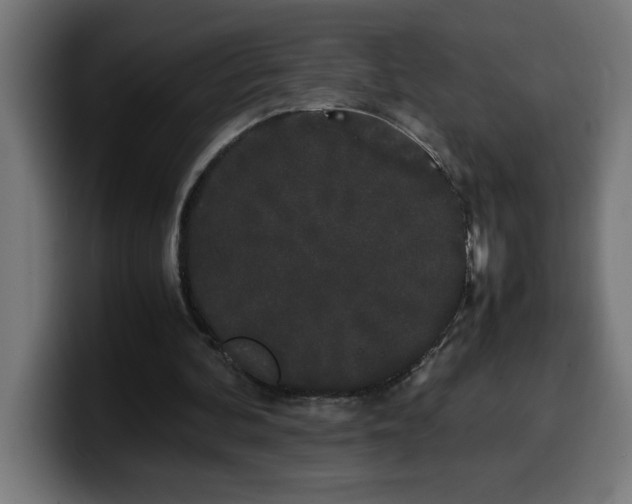 X0000100490292200806131255