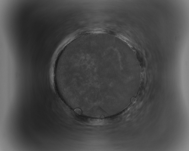 X0000100490293200806131255