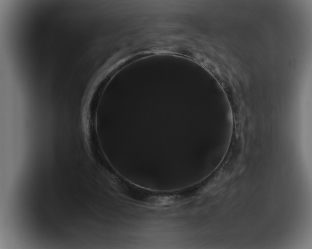 X0000100490295200806131255
