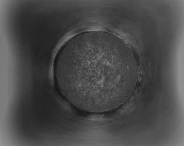 X0000100490296200806131255