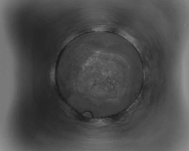 X0000100490297200806131255