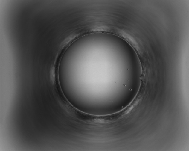 X0000100490298200806131255