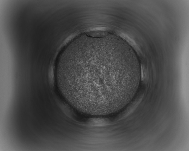 X0000100490300200806131255