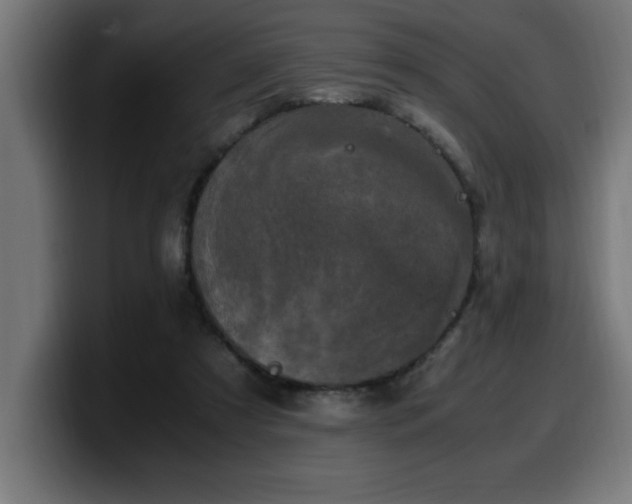 X0000100490305200806131255