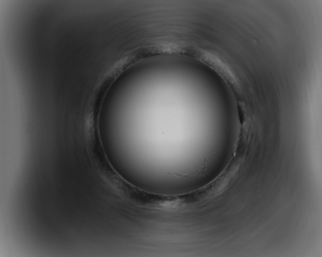 X0000100490306200806131255