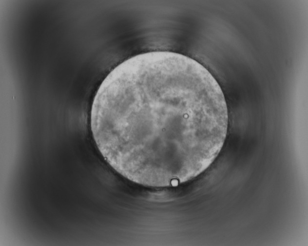 X0000100490309200806131255