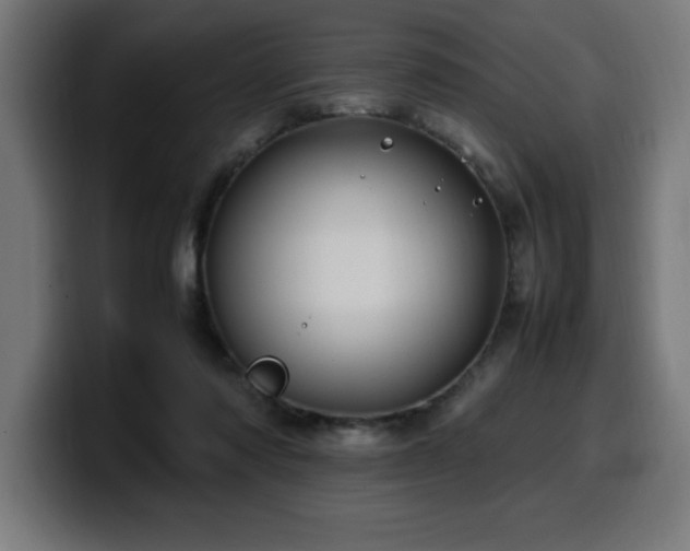 X0000100490310200806131255
