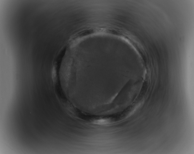 X0000100490312200806131255