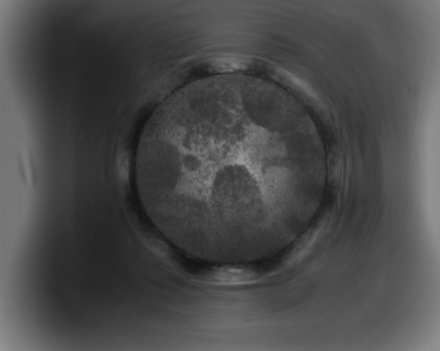 X0000100490315200806131255