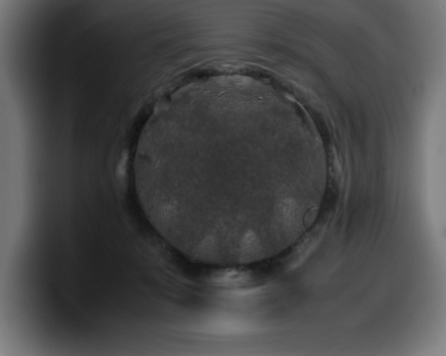 X0000100490319200806131255