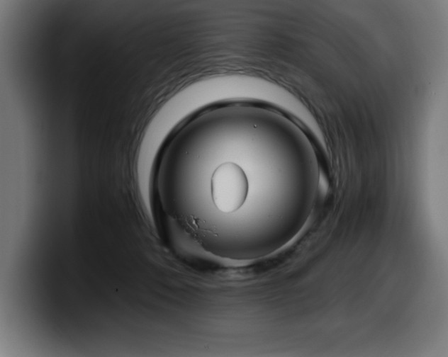 X0000100490320200806131255