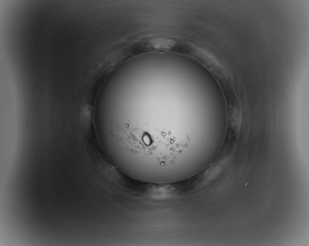 X0000100490321200806131255