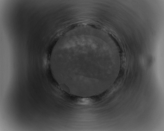 X0000100490324200806131255