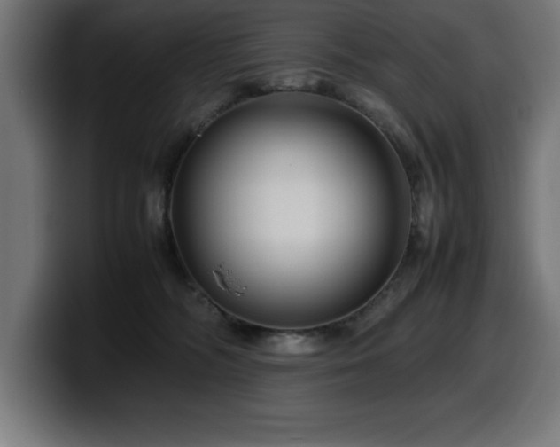 X0000100490326200806131255