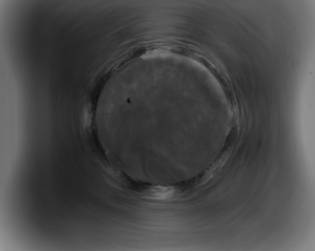 X0000100490328200806131255