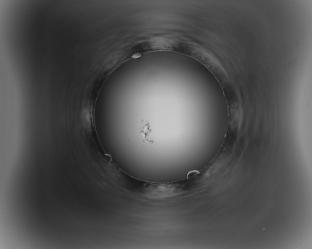 X0000100490329200806131255